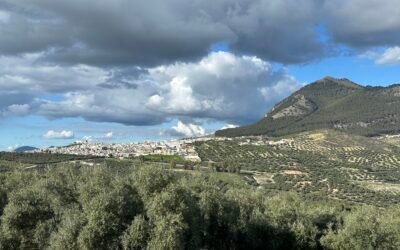Big Life Update – Return to Spain!